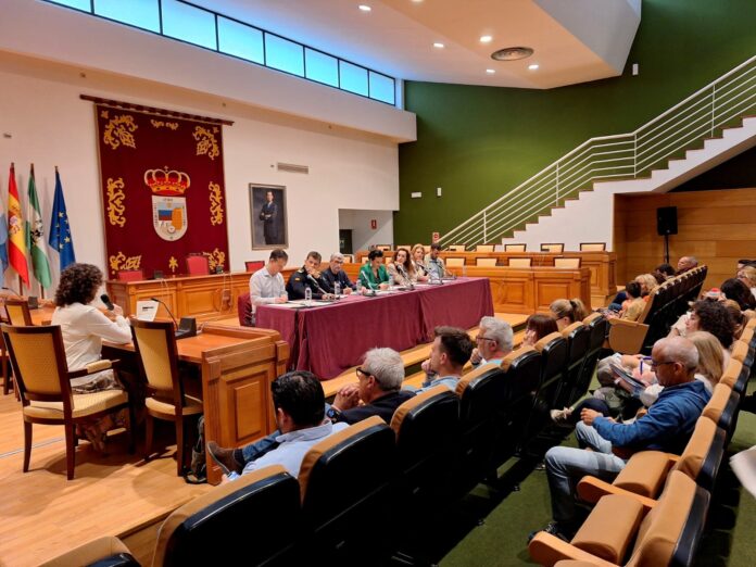 Mesa Violencia Género Torremolinos