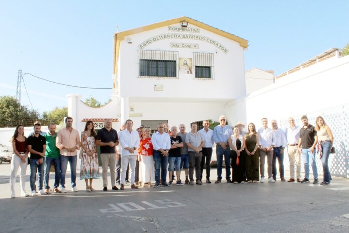 Arranca campaña aceituna aloreña en Casarabonela