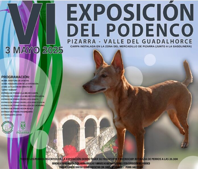 Exposición Podenco Pizarra 2025